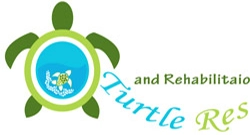 Turtle Rescue Logo